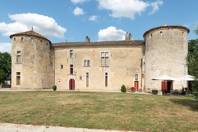 Château De Castelneau, Vignoble à Saint-Léon