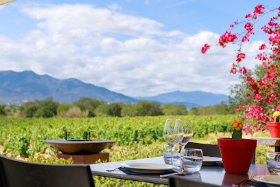 Domaine Sol Payré & Can Sol Payré Vignoble à Elne