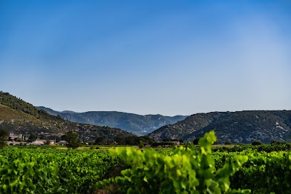 Le Clos Des Combals, Vignoble à Saint-Jean-de-Fos