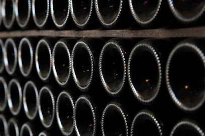 Champagne M. Brismontier-Huet, Vignoble à Trélou-sur-Marne