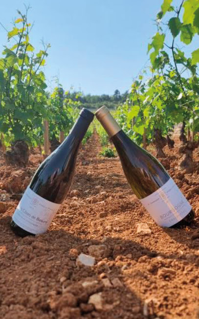 Jc Garnier Père Et Fils Vignoble à Auxey-Duresses