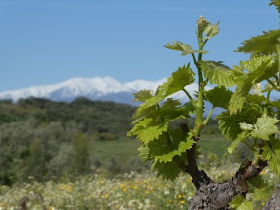 Clos Mané, Vignoble à Tresserre