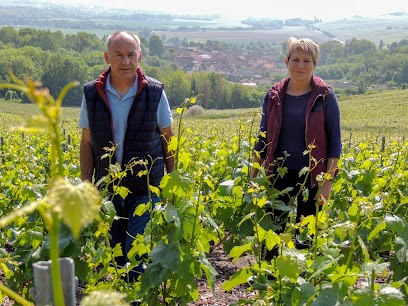 Champagne Legouge Copin, Vignoble à Verneuil