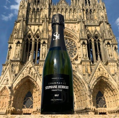 Champagne Stéphane Herbert, Vignoble à Rilly-la-Montagne