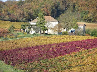 CHÂTEAU BOURGUET, Vignoble à Vindrac-Alayrac