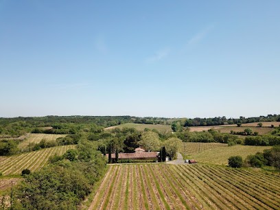 Domaine De Montbuisson, Vignoble à Tourbes