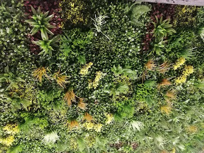 Trésors de l'Yonne, Vignoble à Auxerre