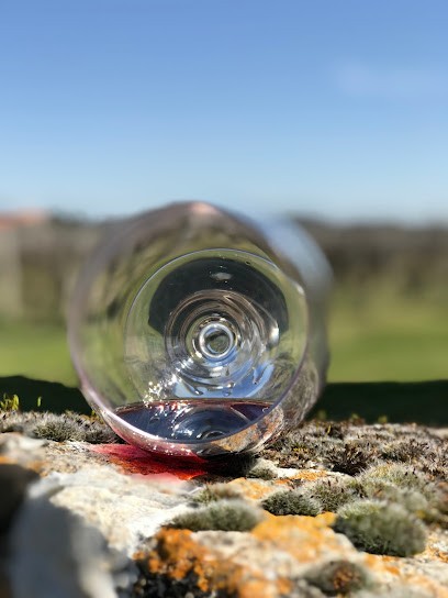 Château Tour Perey, Vignoble à Saint-Sulpice-de-Faleyrens