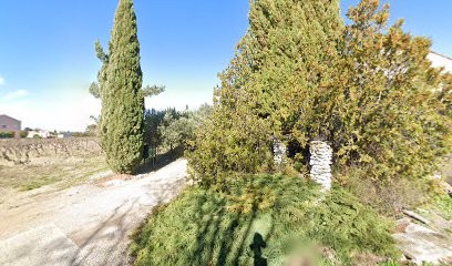 Eurl Faraud Celine Et Jean Pierre, Vignoble à Vacqueyras