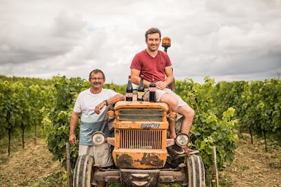 Château Surain, Vignoble à Saint-Gervais
