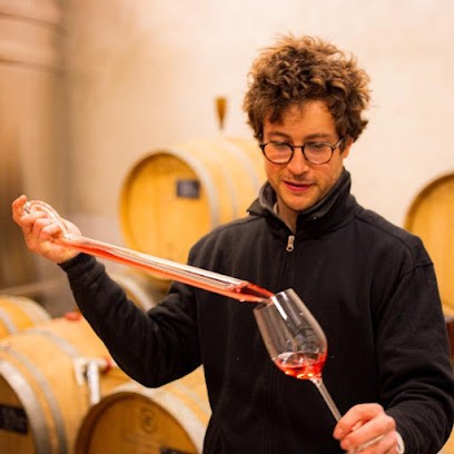 Champagne Paul Gosset, Vignoble à Aÿ-Champagne