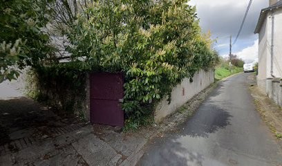 Autran Michel, Vignoble à Noizay