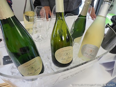 Champagne Jarry Dominique, Vignoble à Bethon