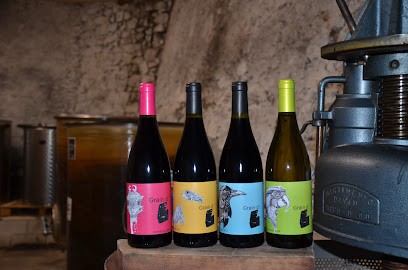 Grain D'L, Vignoble à Vailhan