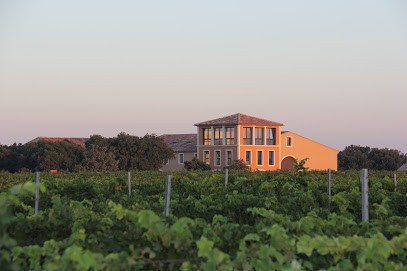 Château Le Grand Retour, Vignoble à Travaillan