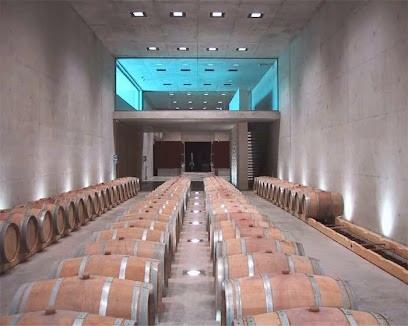 Chateau Thuerry, Vignoble à Villecroze