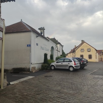 Champagne Brice, Vignoble à Bouzy