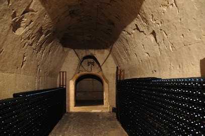 Champagne A. Chauvet, Vignoble à Tours-sur-Marne