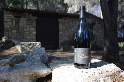 Domaine Les 3 Mazets, Vignoble à Villeveyrac