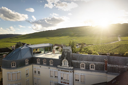 Domaine Gros Frère Et Soeur Vignoble à Vosne-Romanée