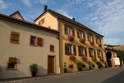 Domaine Bléger, Vignoble à Orschwiller