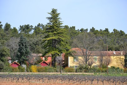 DOMAINE SAINT MITRE, Vignoble à Saint-Maximin-la-Sainte-Baume