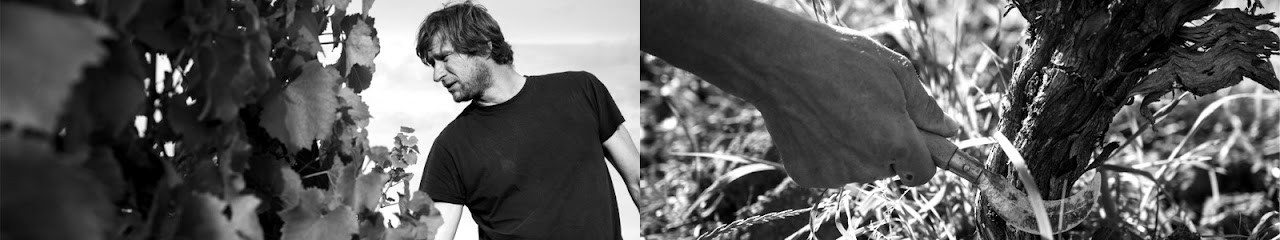 Domaine Alexis de Benoist, Vignoble à Grevilly