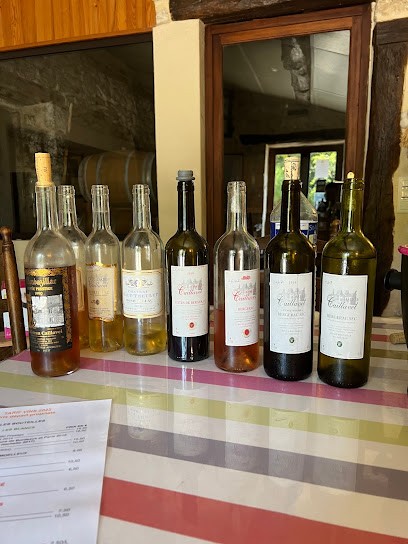 Château Caillavel, Vignoble à Pomport