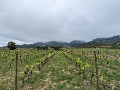 Domaine Benastra, Vignoble à Saint-Paul-de-Fenouillet