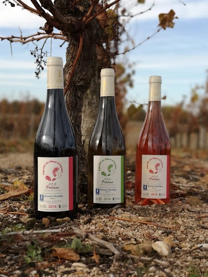 Vignoble du Chant d'Oiseaux, Vignoble à Mareau-aux-Prés