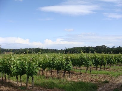 Donne Et Fils Gaec, Vignoble à Saint-Laurent-du-Bois