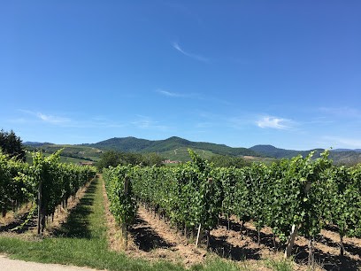 VINS FRANCOIS BOHN ET ESTELLE, Vignoble à Ingersheim