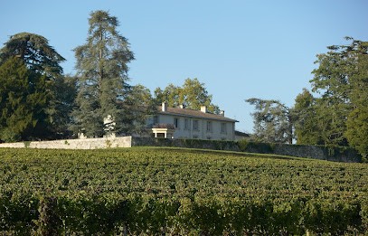 Château Pey La Tour, Vignoble à Salleboeuf