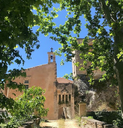 Château de Mille, Vignoble à Apt