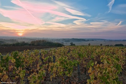 Emmanuel Charrier - Domaine De L'Epineau, Vignoble à Saint-Martin-sur-Nohain