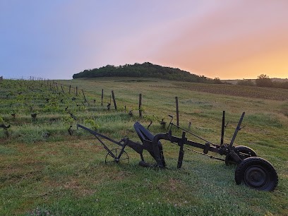 Domaine Des Canailles, Vignoble à Ternand