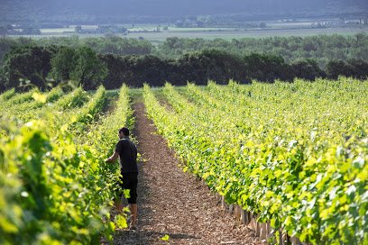 Domaine Lou Roucas, Vignoble à la Brillanne
