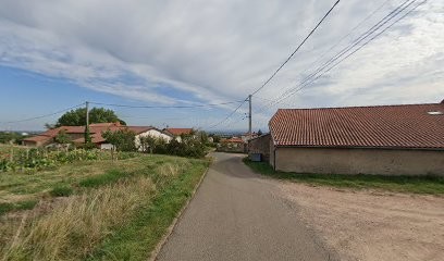 Domaine des Pothiers, Vignoble à Villemontais