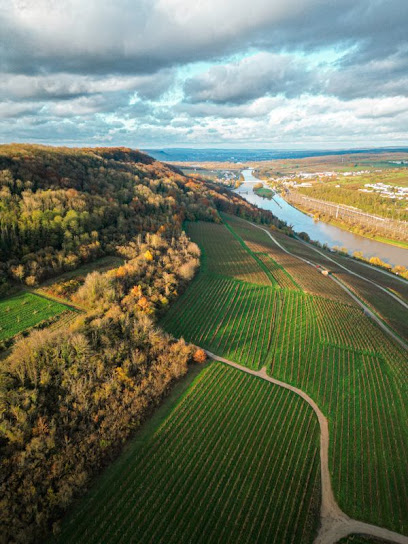 Domaine Florescence Vignoble à Lorry-Mardigny