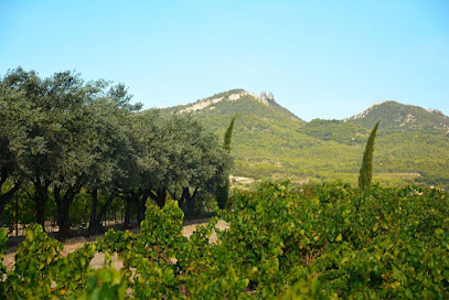 Domaine Julien Delhomme Vignoble à Sarrians