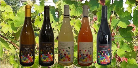 Domaine La Valette, Vignoble à Villaudric