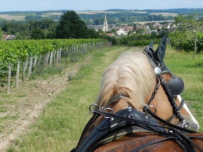 Les Caves Aux Caux - Vins Creuzet, Vignoble à Thoré-la-Rochette