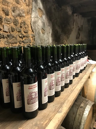 La cuvée des terres rouges, Vignoble à Saint-Sornin