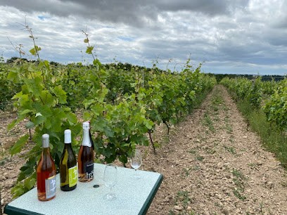 Domaine Brazilier, Vignoble à Thoré-la-Rochette