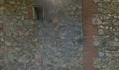 Romeu Olivier, Vignoble à Thuir