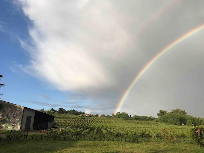 Château Haut-Rian - Vins Pauline Lapierre, Vignoble à Rions