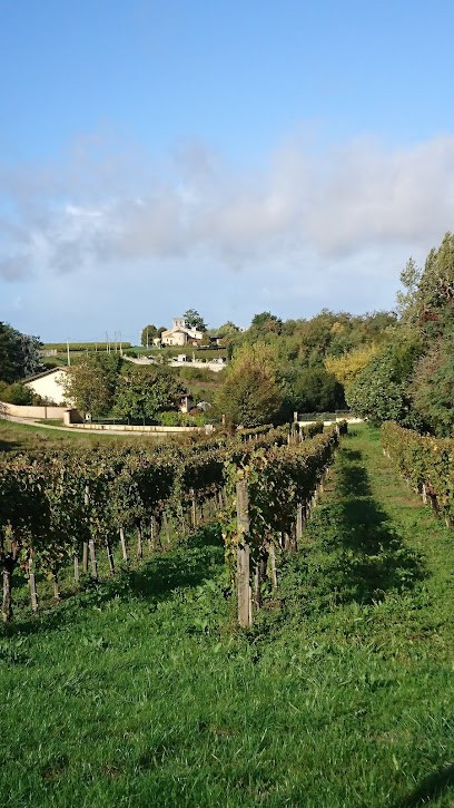 Château Beneyt, Vignoble à Rions