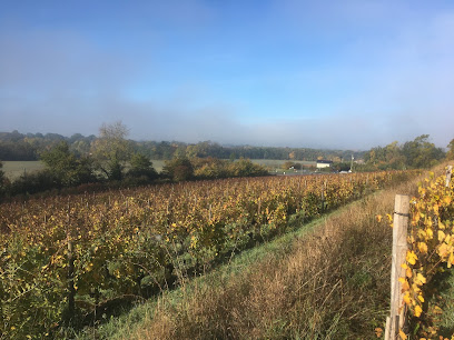 Vignoble Normand Vignoble à Bellevigne-en-Layon