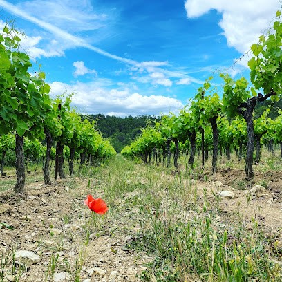 Clos des Ors, Vignoble à Orthoux-Sérignac-Quilhan