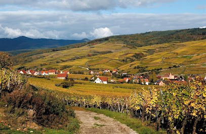 Haag Jean-Marie, Vignoble à Soultzmatt